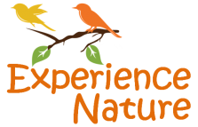 Experience Nature